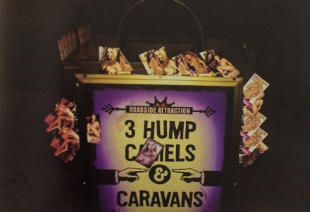 ©2003 Yolanda Andrade